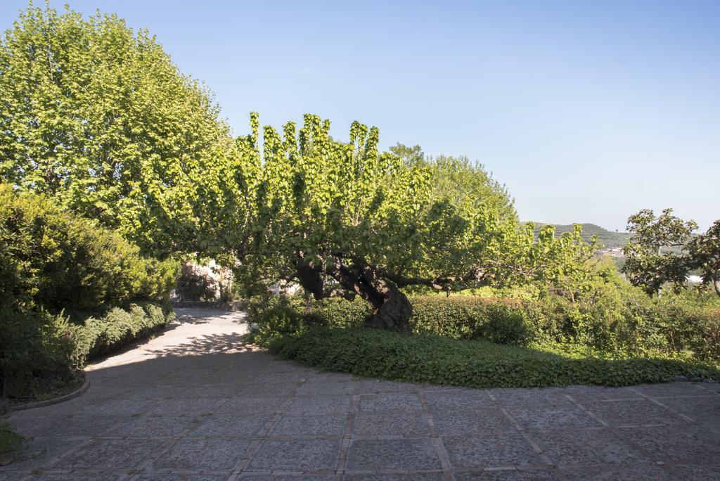 Villa La Vecchia Quercia San Cipriano Picentino Exterior foto