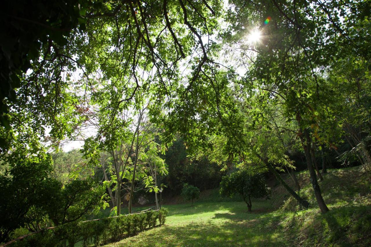 Villa La Vecchia Quercia San Cipriano Picentino Exterior foto